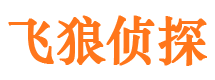 文安飞狼私家侦探公司